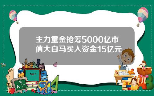 主力重金抢筹5000亿市值大白马买入资金15亿元