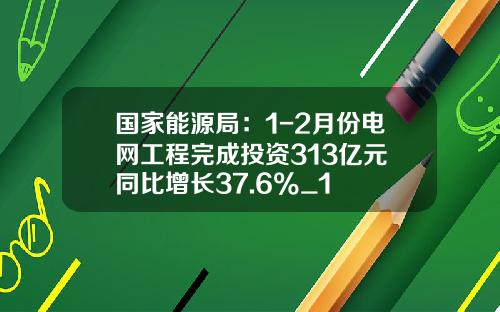 国家能源局：1-2月份电网工程完成投资313亿元 同比增长37.6%_1