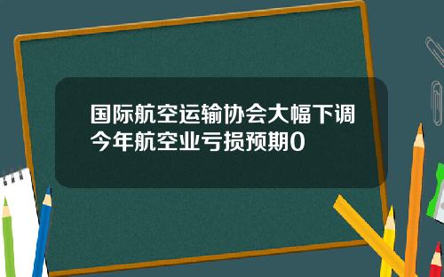 国际航空运输协会大幅下调今年航空业亏损预期0