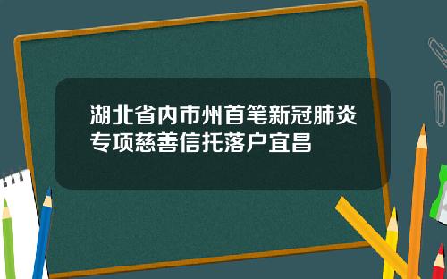 湖北省内市州首笔新冠肺炎专项慈善信托落户宜昌