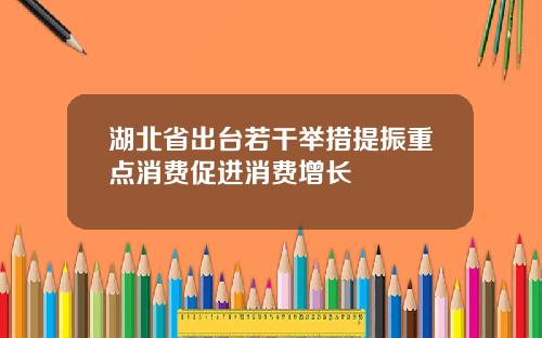 湖北省出台若干举措提振重点消费促进消费增长