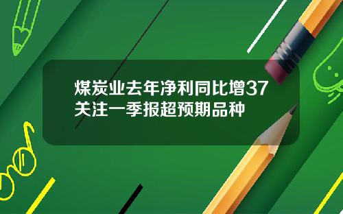 煤炭业去年净利同比增37关注一季报超预期品种