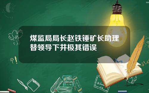 煤监局局长赵铁锤矿长助理替领导下井极其错误