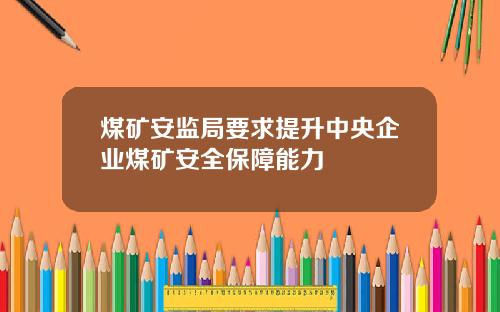 煤矿安监局要求提升中央企业煤矿安全保障能力