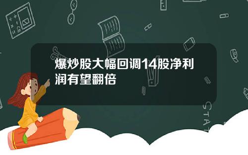 爆炒股大幅回调14股净利润有望翻倍