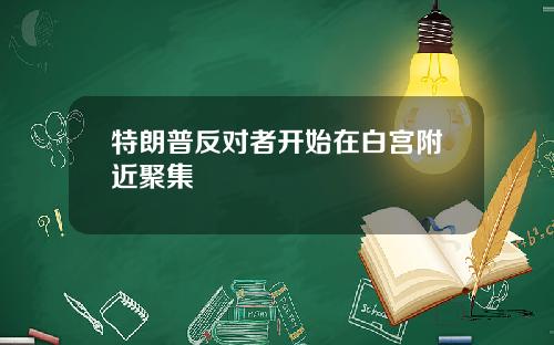 特朗普反对者开始在白宫附近聚集