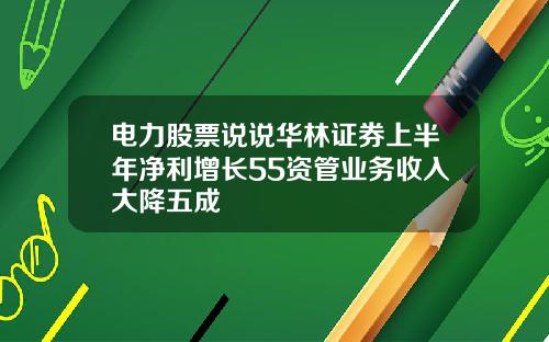 电力股票说说华林证券上半年净利增长55资管业务收入大降五成