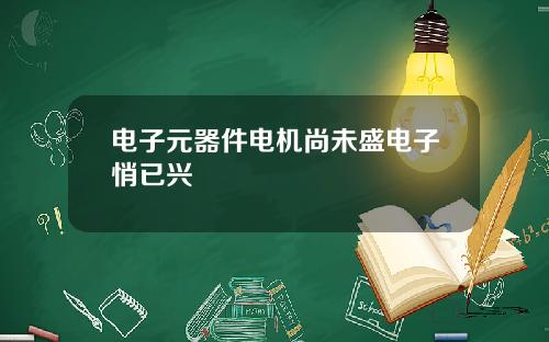 电子元器件电机尚未盛电子悄已兴