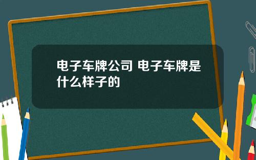 电子车牌公司 电子车牌是什么样子的