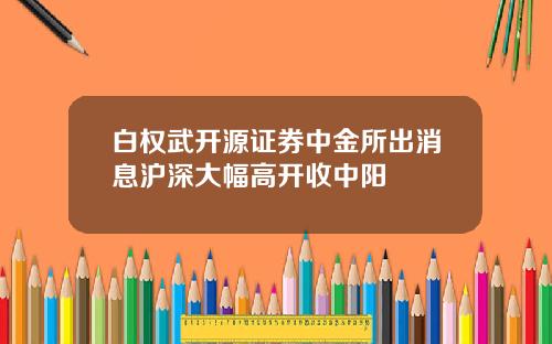 白权武开源证券中金所出消息沪深大幅高开收中阳