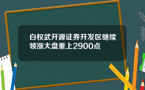 白权武开源证券开发区继续领涨大盘重上2900点