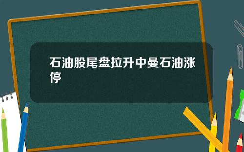 石油股尾盘拉升中曼石油涨停