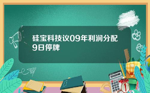 硅宝科技议09年利润分配9日停牌