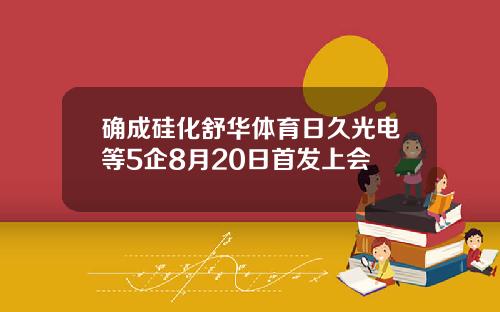 确成硅化舒华体育日久光电等5企8月20日首发上会