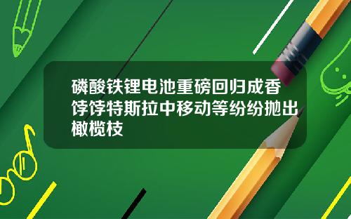 磷酸铁锂电池重磅回归成香饽饽特斯拉中移动等纷纷抛出橄榄枝