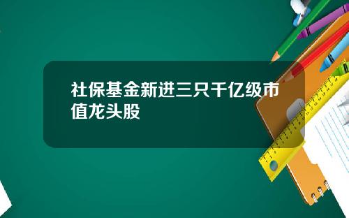 社保基金新进三只千亿级市值龙头股