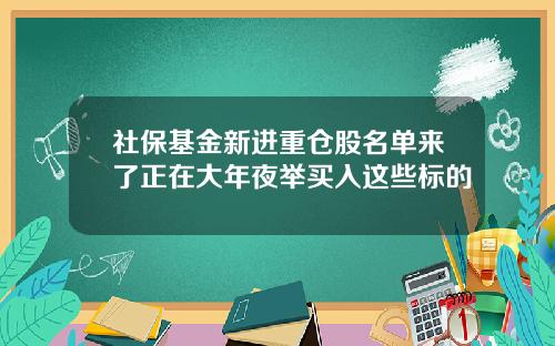 社保基金新进重仓股名单来了正在大年夜举买入这些标的