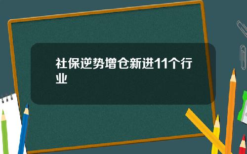 社保逆势增仓新进11个行业