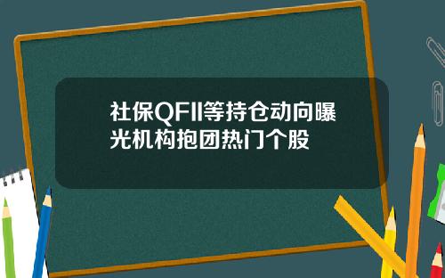 社保QFII等持仓动向曝光机构抱团热门个股