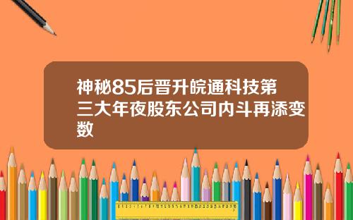 神秘85后晋升皖通科技第三大年夜股东公司内斗再添变数