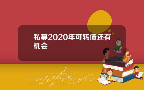 私募2020年可转债还有机会