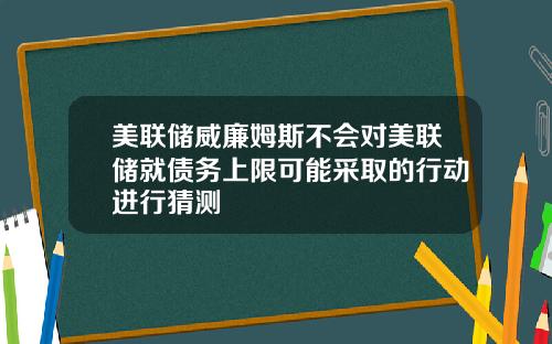 美联储威廉姆斯不会对美联储就债务上限可能采取的行动进行猜测