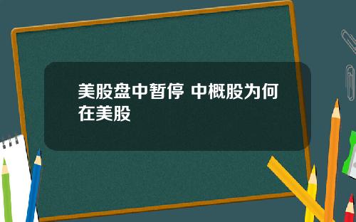 美股盘中暂停 中概股为何在美股