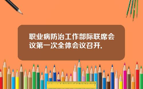 职业病防治工作部际联席会议第一次全体会议召开.