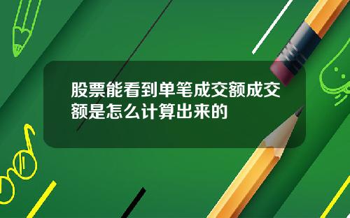 股票能看到单笔成交额成交额是怎么计算出来的