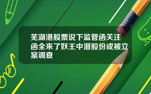 芜湖港股票说下监管函关注函全来了妖王中潜股份或被立案调查