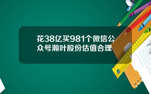 花38亿买981个微信公众号瀚叶股份估值合理