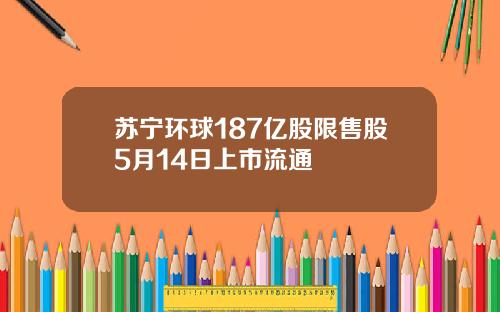 苏宁环球187亿股限售股5月14日上市流通