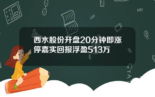 西水股份开盘20分钟即涨停嘉实回报浮盈513万