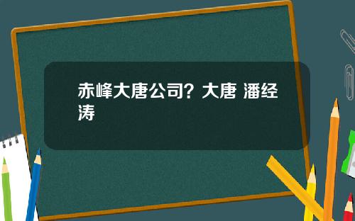 赤峰大唐公司？大唐 潘经涛