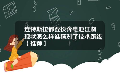 连特斯拉都要投奔电池江湖现状怎么样谁猜对了技术路线【推荐】