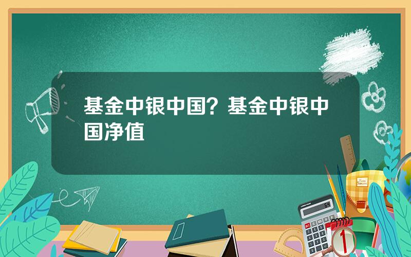 基金中银中国？基金中银中国净值