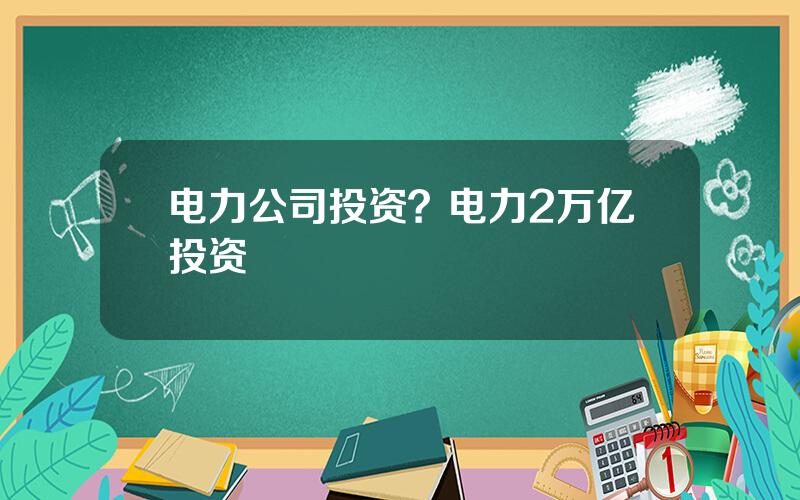 电力公司投资？电力2万亿投资