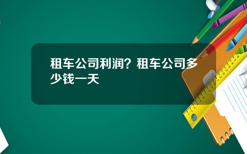 租车公司利润？租车公司多少钱一天