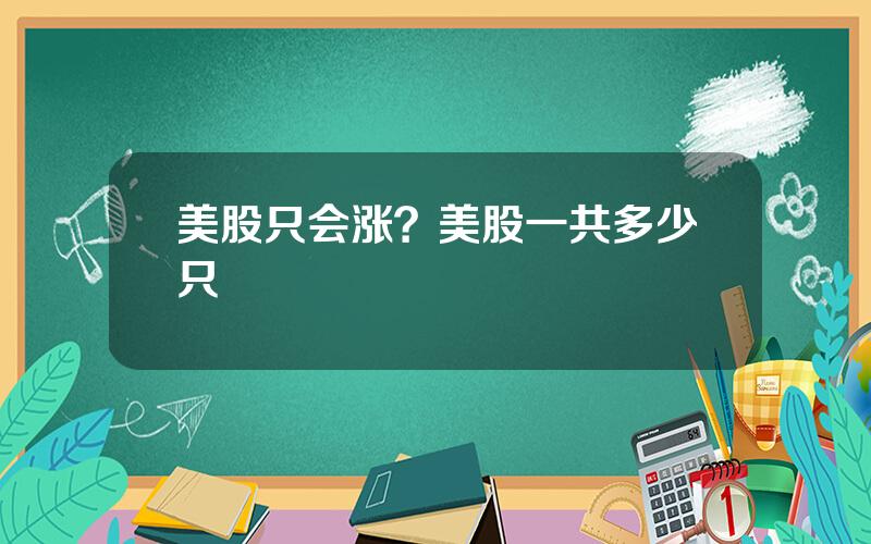 美股只会涨？美股一共多少只