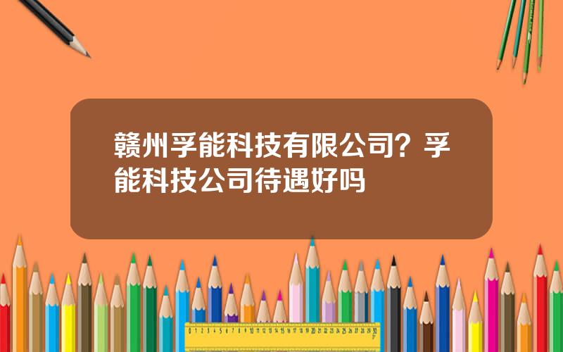 赣州孚能科技有限公司？孚能科技公司待遇好吗