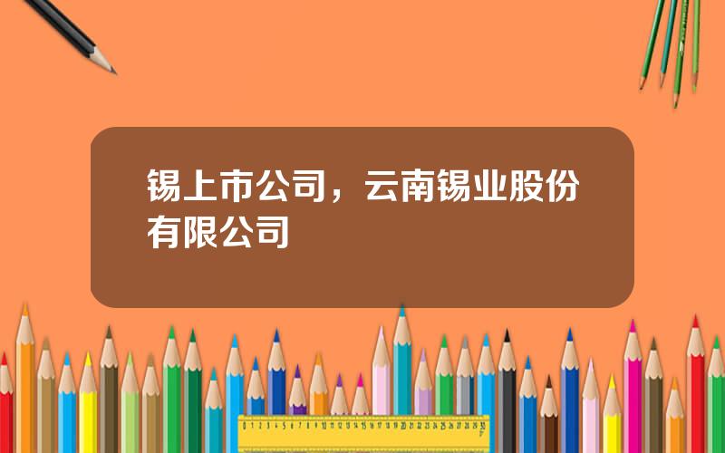 锡上市公司，云南锡业股份有限公司