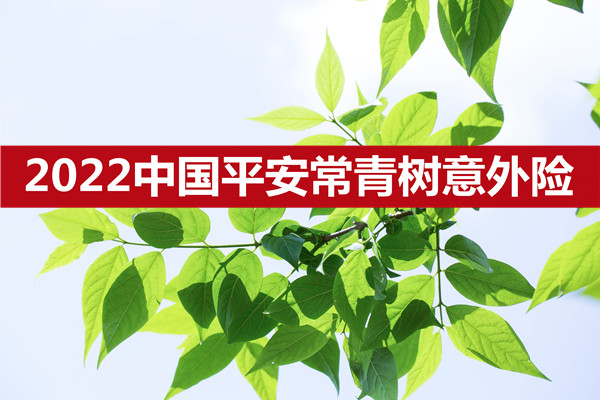 2022中国平安常青树意外险怎么样？北京平安常青树保险介绍_1